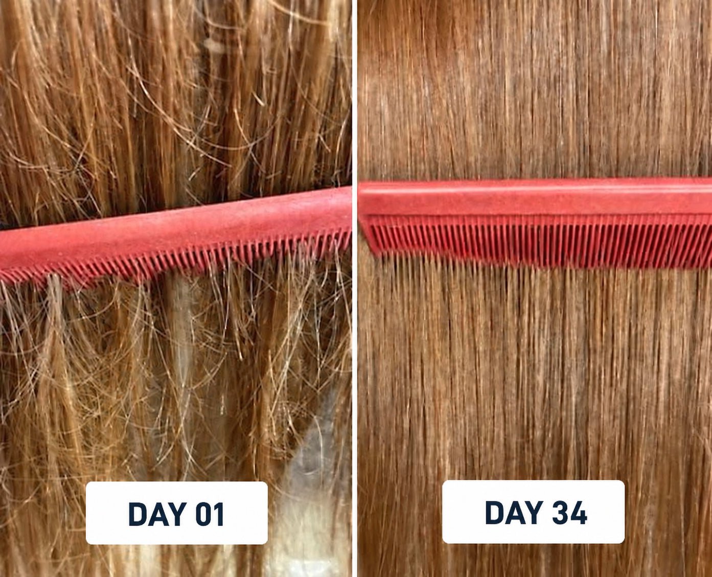 FIIPY customer result
